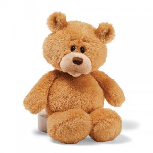 GUND Little Buddy Bear