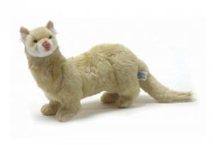 HANSA Ferret Cream