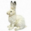 HANSA White Hare