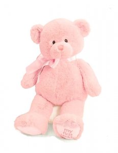 Gund My First Teddy™ Pink18"