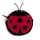 NABCO Ladybug Coin Purse