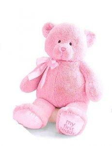 Gund My First Teddy™ Pink 10"