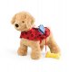 NABCO Puppy Activity Toy