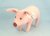 Steiff Jubilee Assortment Pig*