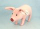 Steiff Jubilee Assortment Pig*