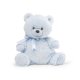 GUND Oliver™ Blue Bear Small