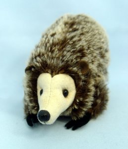 Wilson Hedgehog 'Buster Girl'