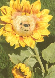 White Sunflower Bear Garden Card