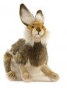 HANSA Brown Hare