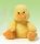 GUND Dipsey™ Duck 6"