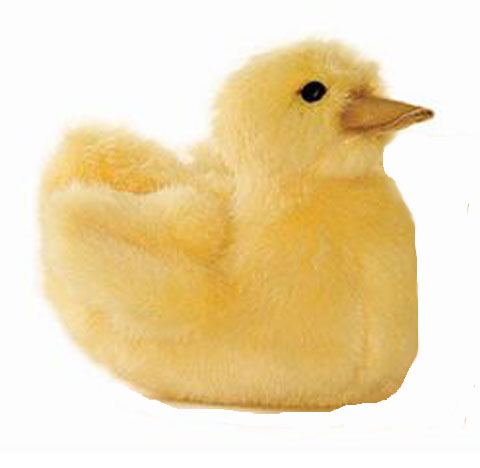 HANSA Duck Chick - Click Image to Close