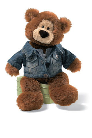 GUND Everywhere Bear™ Boy - Click Image to Close