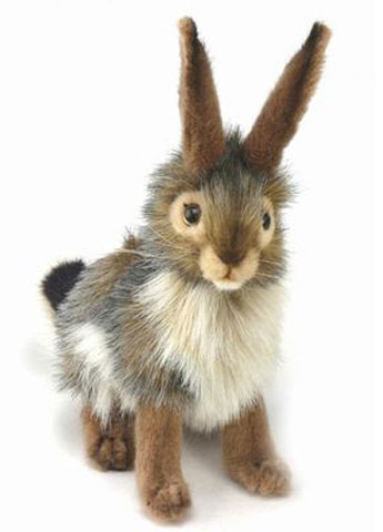 Hansa Bunny Rabbit - Click Image to Close