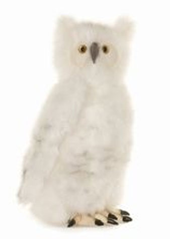 HANSA Snow Owl - Click Image to Close